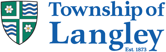 Election logo